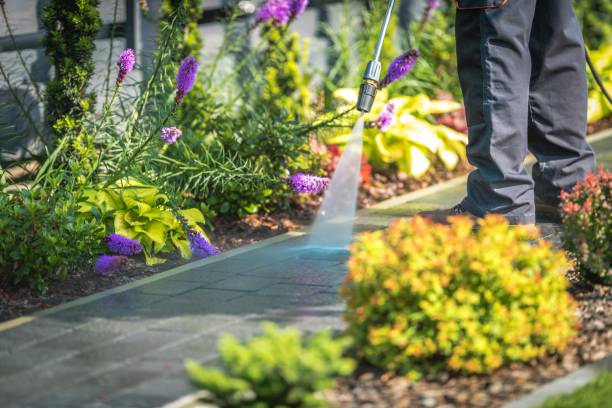 Best Gutter Cleaning  in Boswell, PA